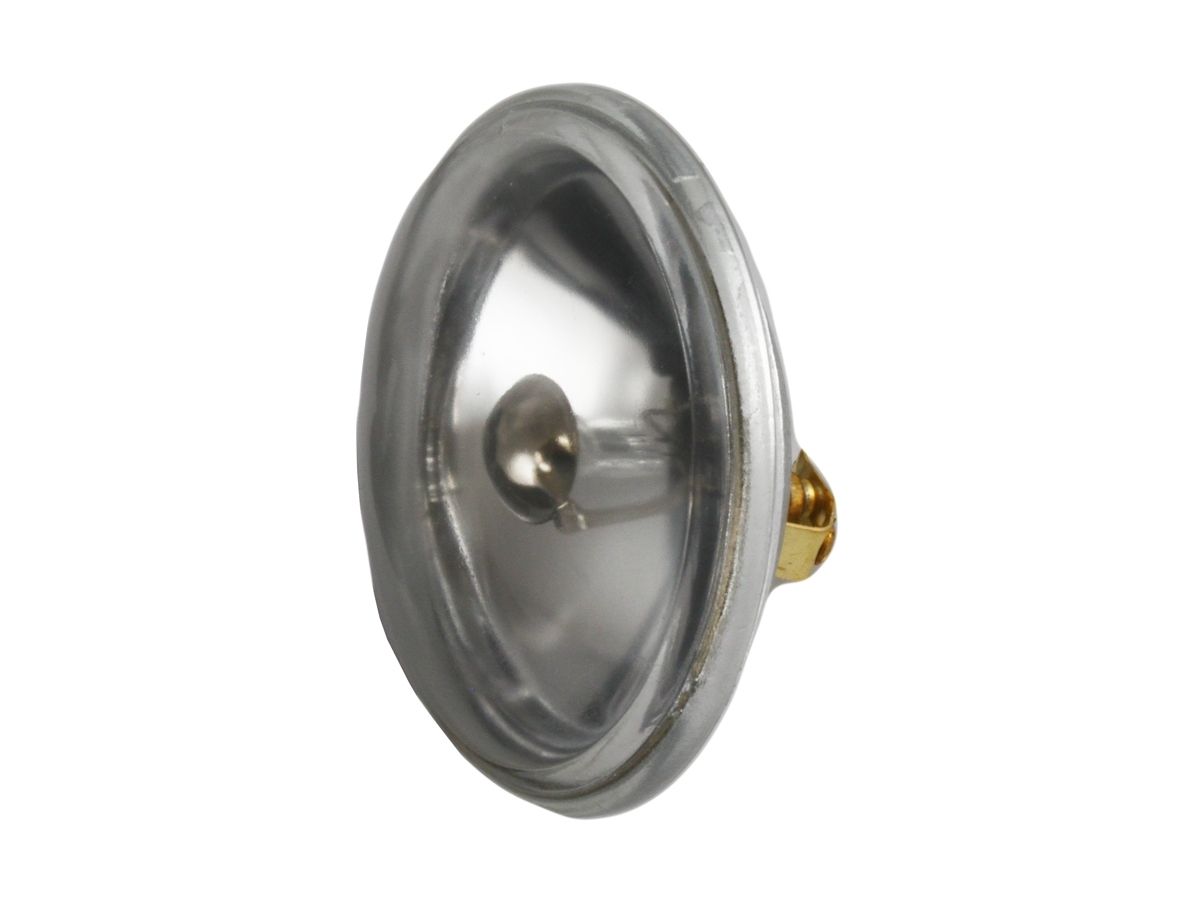 RAM SPOTLIGHT REPL BULB PAR 36, LED 9W