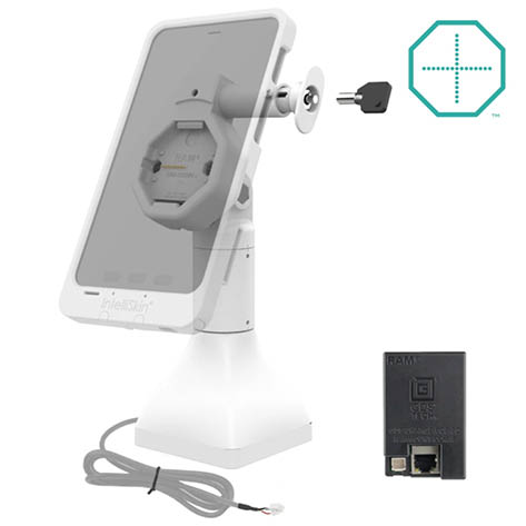 RAM Mounts GDS Uni-Conn Stand-Ladestation (7 Zoll) - Dreh- & Schwenkbar - abschliebar (Schlüssel) - mit PoE - hellgrau