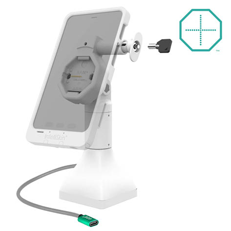 RAM Mounts GDS Uni-Conn Stand-Ladestation (7 Zoll) - Dreh- & Schwenkbar - abschliebar (Schlüssel) - USB-C-Anschluss - Rückseitige Pogo-Pads - hellgrau